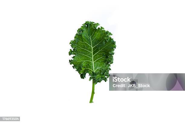 A Fresh Leaf Of Green Kale On White Background Stock Photo - Download Image Now - Kale, Leaf, Agriculture