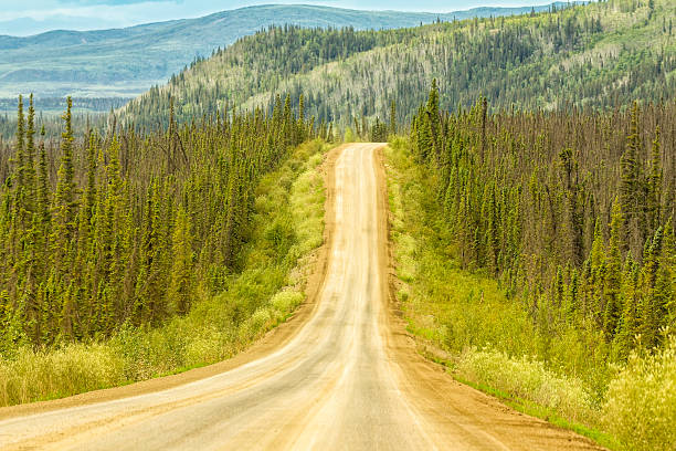 istock Gravel road in Alaska 176693756