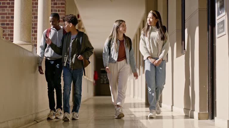 School, walking and students with education, conversation and happiness with future, studying and learning. People, boys and girls in a hallway, support and knowledge with joy, sunshine and friends