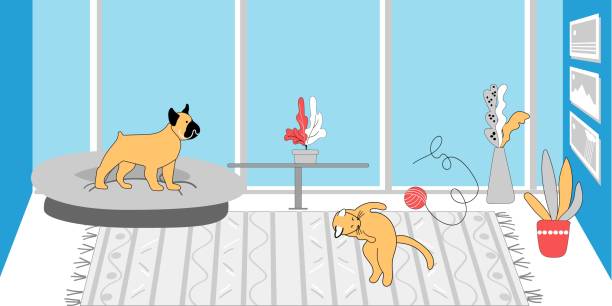 illustrations, cliparts, dessins animés et icônes de le chien et le chat jouent dans la pièce. - purebred cat illustrations