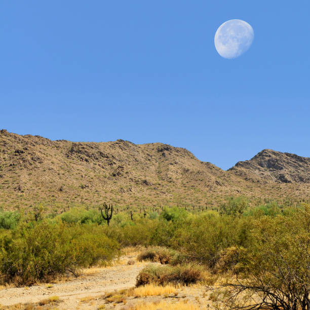 istock Moon Rising San Tan Mountains Sonora Desert Arizona 1766963221