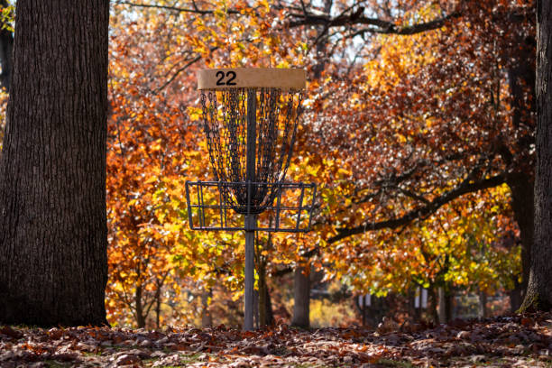 istock Popular outdoor game Disc Golf Net in a park in autumn 1766969823
