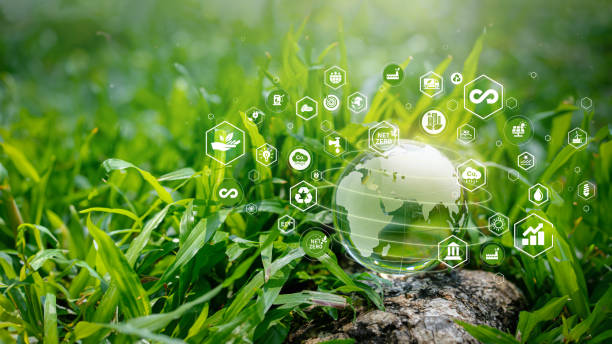 istock Environment. Crystal ball on moss in green forest. there is a symbolic icon Inclusive Environment, Ecology, Earth Day, Forest Conservation, CSR, ESG, NET ZERO 1766994053