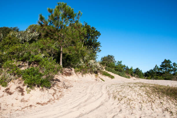 istock sand dunes on a sunny summer day 1766996706