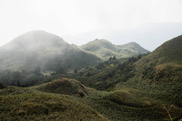 Hard light, cloudy, foggy, dynamic lighting