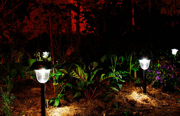 istock Garden Solar Lights in the Dark 176702928