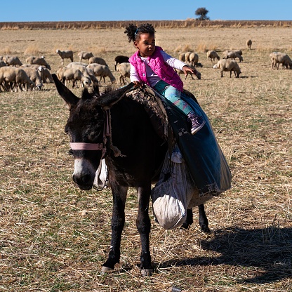 Healthy Lifestyle: Family Picnic and Exercise. Baby with Donkey.