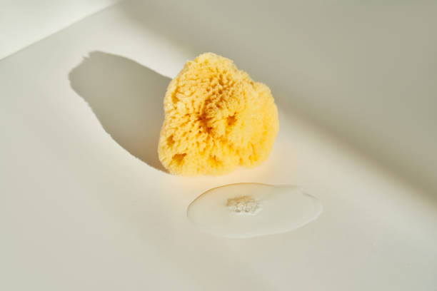 istock Natural sea sponge with a drop of washing gel next to it. 1767033708