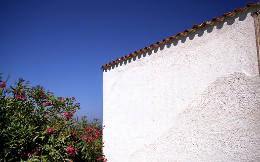 view of white wall and flowering oleander against the sky