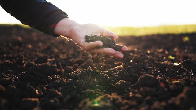 Hand of man on nature on field in sunlight squeezes the earth and it falls down blowing in the wind. Expert farmer checking soil health before growth a seed or plant seedling. Nature healthy food.