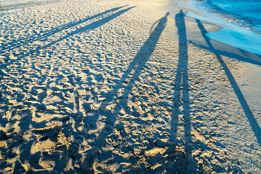 Long shadows of four people cast on the beach sand at sunset