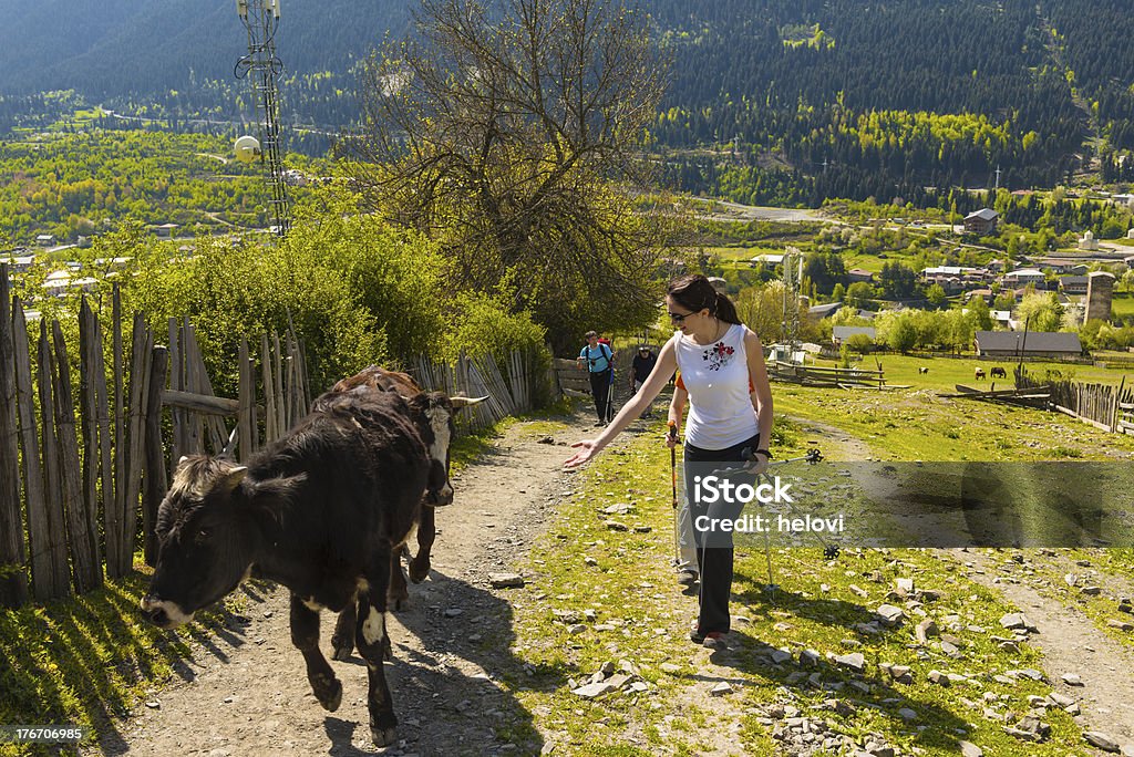 Torri difensive in Mestia - Foto stock royalty-free di Cittadina