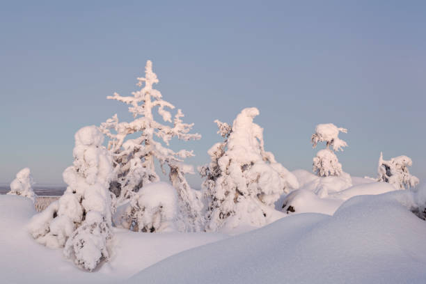 istock Landscape on a Hill in Northern Finland 1767077053