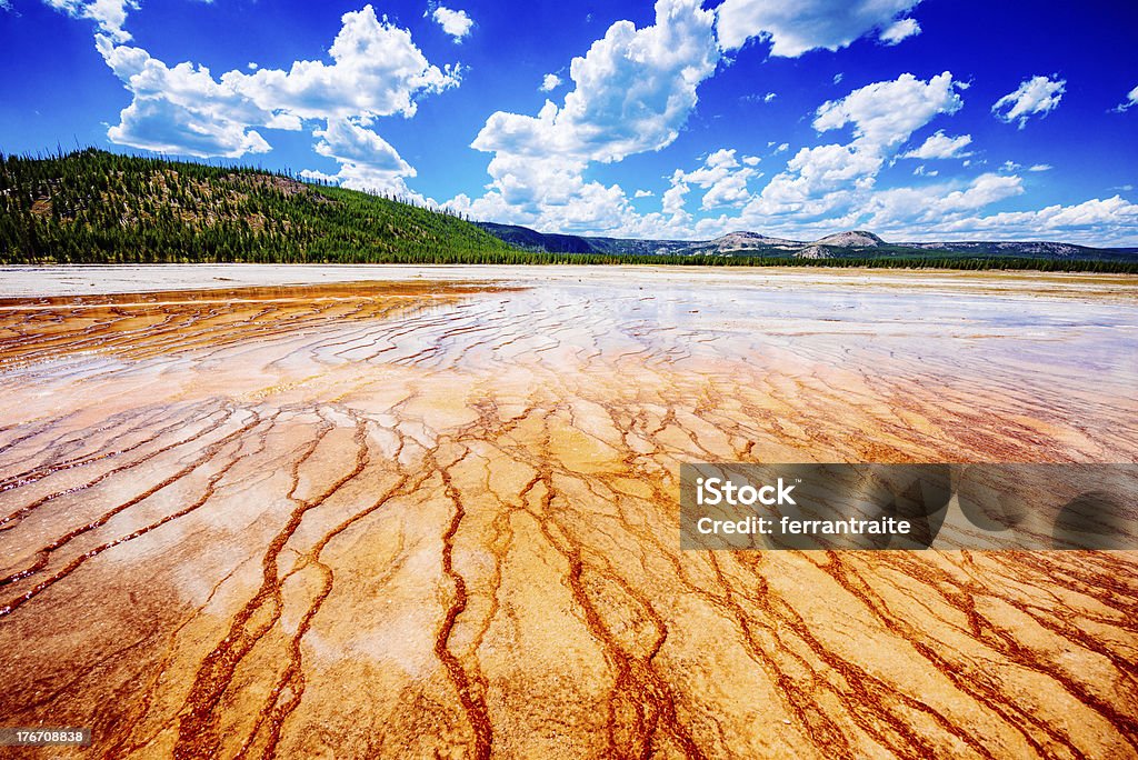 Yellowstone Wielki Graniastosłupowy Skok - Zbiór zdjęć royalty-free (Bakteria)
