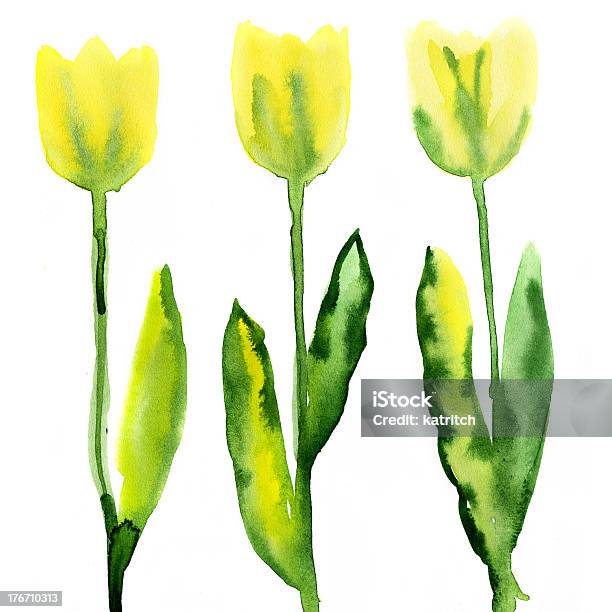 Ilustración de Tulipanes De Flores Acuarela y más Vectores Libres de Derechos de Abstracto - Abstracto, Amarillo - Color, Arte