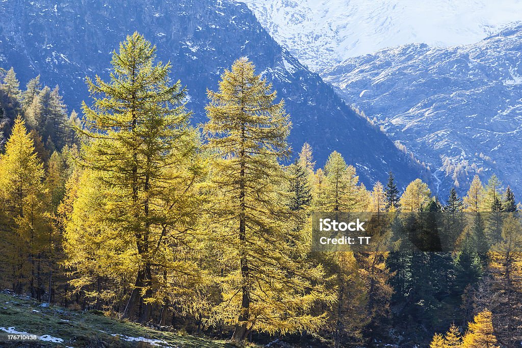 Vista da montanha - Foto de stock de Alpes europeus royalty-free