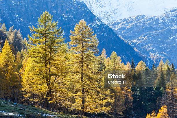 Mountain View - Fotografias de stock e mais imagens de Admirar a Vista - Admirar a Vista, Alpes Europeus, Amarelo