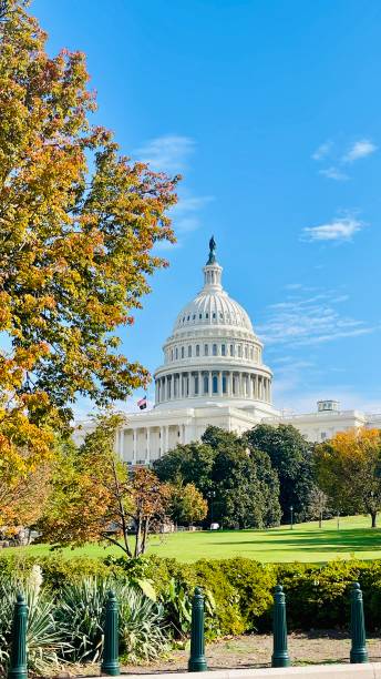 istock Capitol hill Washington DC on a sunny day in October 2023 1767105300