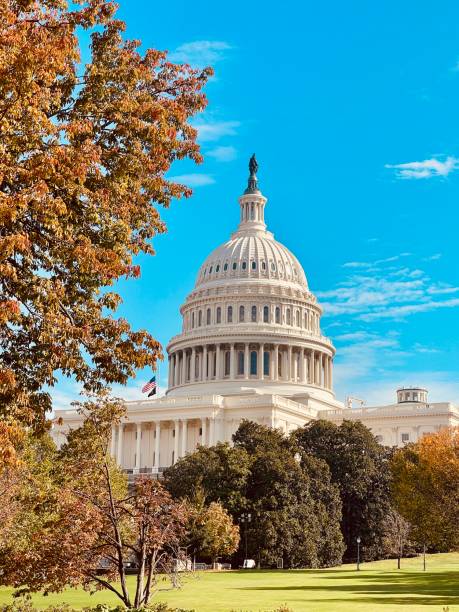 istock Capitol hill Washington DC on a sunny day in October 2023 1767105864