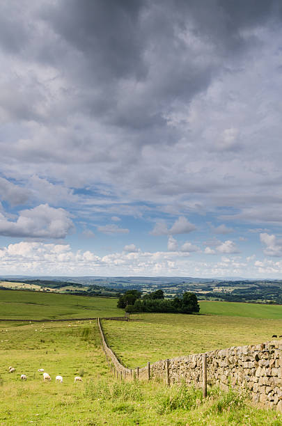 istock Northumberland countryside 176710629