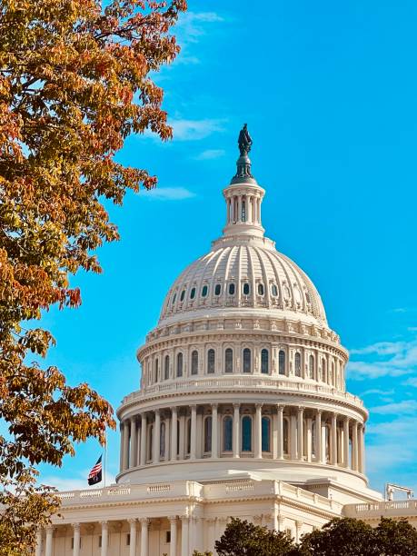 istock Capitol hill Washington DC on a sunny day in October 2023 1767106337