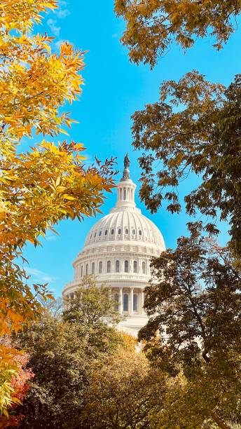 istock Capitol hill Washington DC on a sunny day in October 2023 1767107448