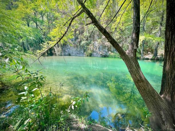 istock The Esmerald Landscape 1767110017