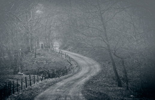 Curby dark road, grungy and spooky effect for Halloween theme, fog setting in for creepy effect.