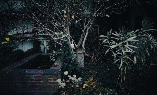 istock Mediation in an autumn garden, wide 1767118657