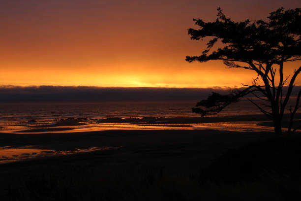 istock Sunset on Kalaloch Beach in Washington State 1767120041