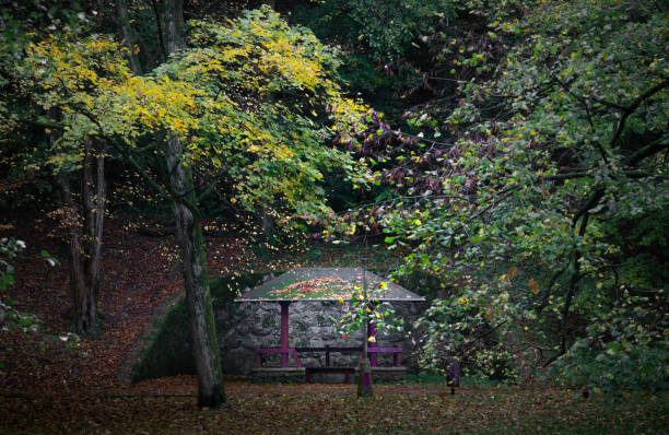 Park in autumn, pavillon stock photo
