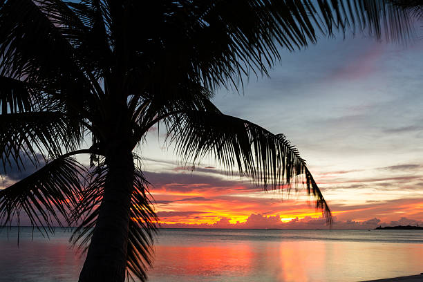istock Sunrise on Caribbean beach 176712260