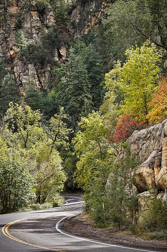 Autumn Colors on a road in Oak Creek Canyon, Sedona