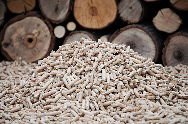 biomasa - wood pellet zdjęcia i obrazy z banku zdjęć