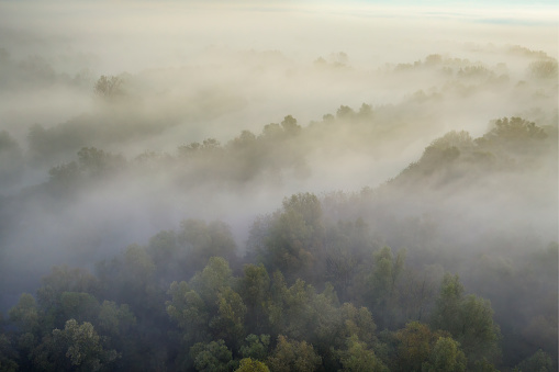 Forest covered in a blanket of mist seen from above during a fall morning near the river IJssel in Overijssel. The treetops are popping out over the thick fog with some of the trees starting to change color during the annual autumn season. The fog is giving the landscape a mystical atmosphere.