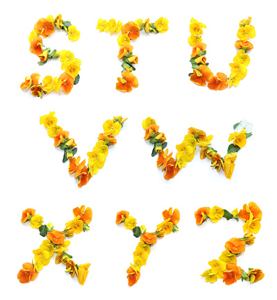 Beautiful flowers arrangement with orange and yellow real fresh blossoms, combined letters s t u v w x y z, alphabets for Mother's Day, Valentine's Day,  Marriage, wedding day, Thank you, get well soon, greetings cards, presents, birthday gifts and mails, capital letters to create a flower word
