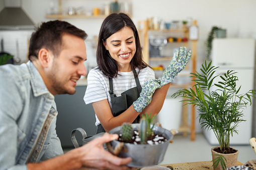 Young smiling casually clothed couple potting plants together at home