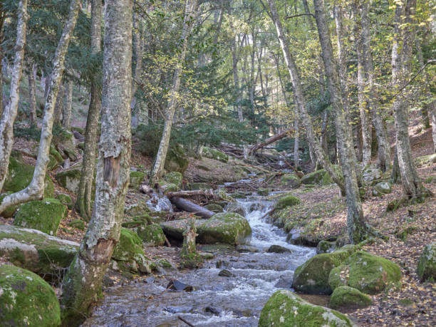 istock Autumn landscapes 1767208880