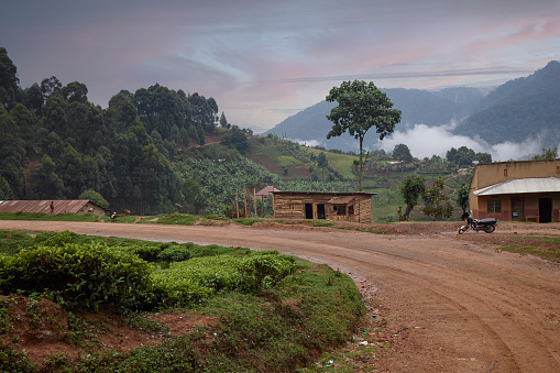 A couple of houses are seen along a winding dirt road in Uganda. Lush greenery and trees surround the buildings. Rainforest is seen in background along with rising sun.