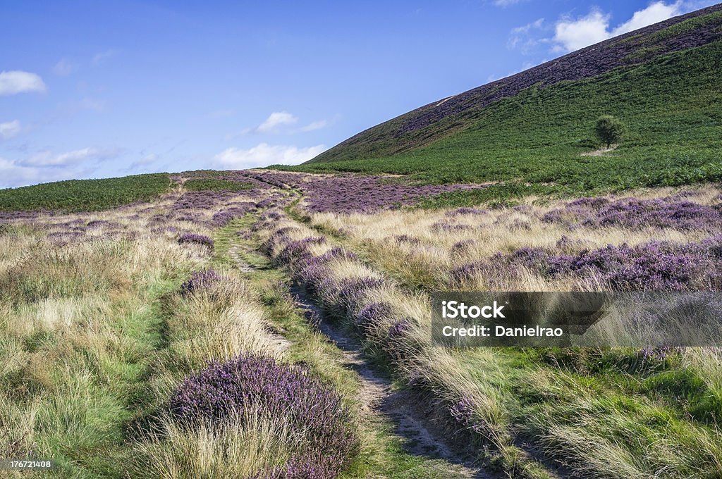 De North York Moors perto Levisham e Goathland, Yorkshire, Reino Unido. - Foto de stock de Yorkshire royalty-free