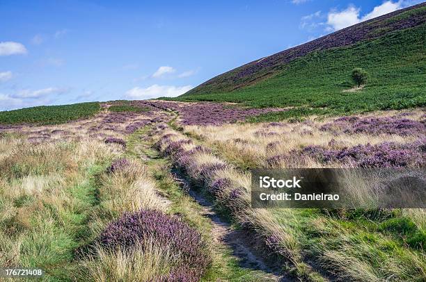 Foto de De North York Moors Perto Levisham E Goathland Yorkshire Reino Unido e mais fotos de stock de Yorkshire