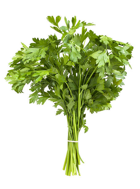 kuvapankkikuvat ja rojaltivapaat kuvat aiheesta persilja - flat leaf parsley