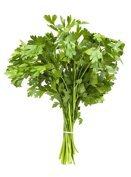 파슬리 - flat leaf parsley 뉴스 사진 이미지