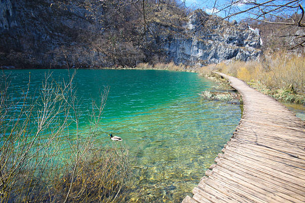 parco nazionale plitvice - plitvice lakes national park water lake national park foto e immagini stock