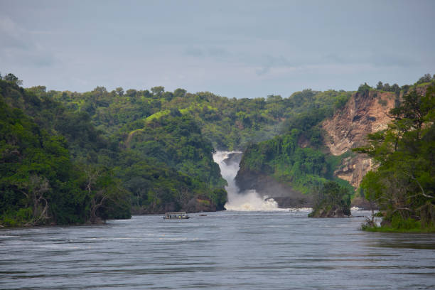 istock Wide Angle of Murchison Falls on the Nile River 1767221819