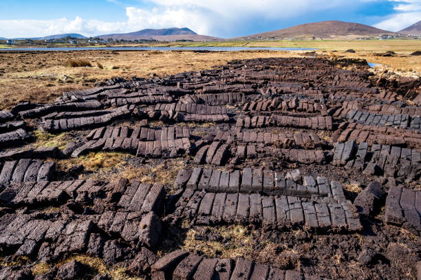 Peat bog in the springtime on the west coast of Ireland