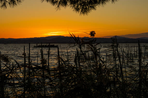 istock A beautiful sunset over Spain's Albufera Lake 1767249439