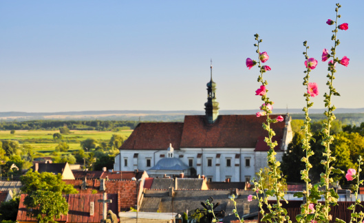 Pinczow town panorama with hollyhocks.
