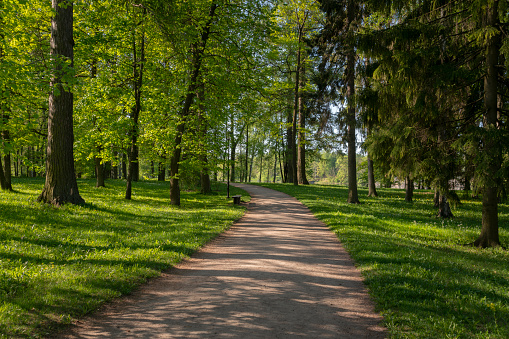 Landscape around the Hanseatic city of Stade in Lower Saxony