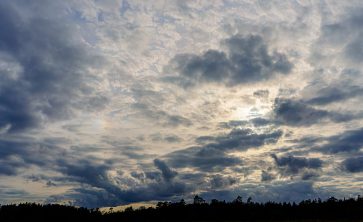 Dramatic sky background on top of a dark forest silhouette